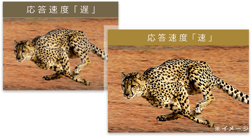 チーターの走っている様子で比較