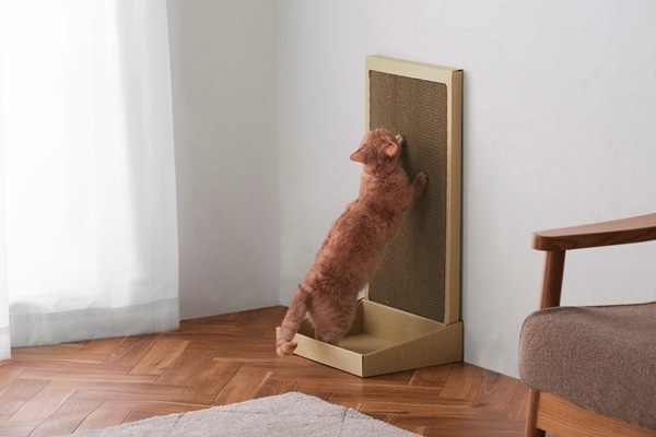 猫の爪とぎ スタンドタイプ|つめとぎ・保護シート|ペットケア用品|ペット用品・ペットフード|商品情報|アイリスオーヤマ 猫のつめとぎ スタンドタイプ P-NTS-700 つめとぎ 猫 爪とぎ 段ボール ダンボール 壁 ベージュ アイリスオーヤマ キャット Pet館 ペット館