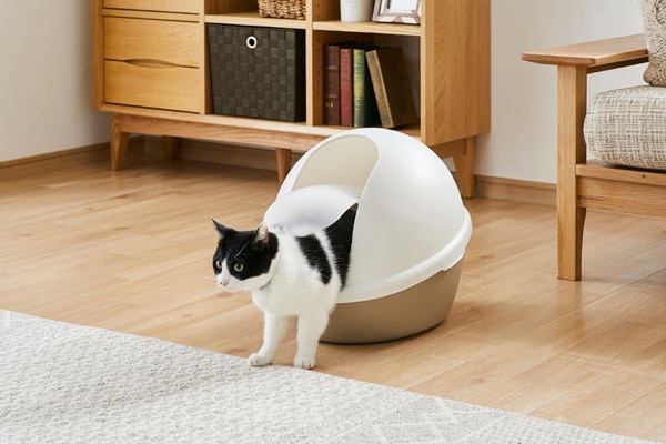 ドーム型ネコトイレ 扉付きフルカバータイプ｜猫トイレ｜ペット用品｜ペット用品・ペットフード｜商品情報｜アイリスオーヤマ