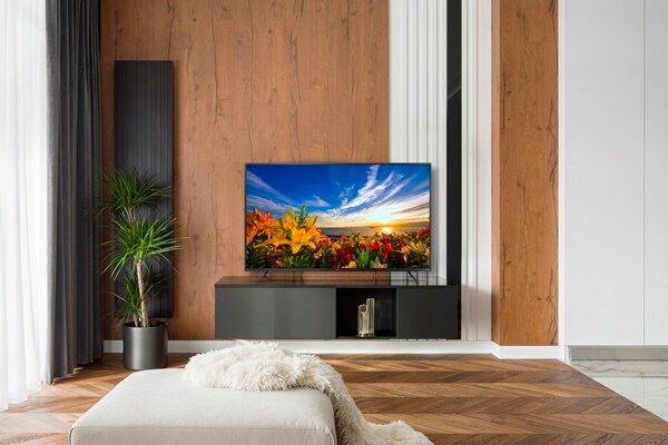 AI機能音声操作対応4Kチューナー内蔵液晶テレビ 55インチ｜LUCA