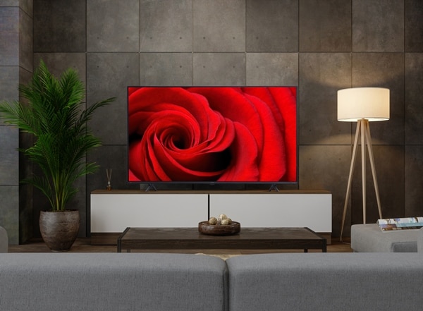 4Kチューナー内蔵液晶テレビ 55V型（QLED）｜LUCA4Kチューナー