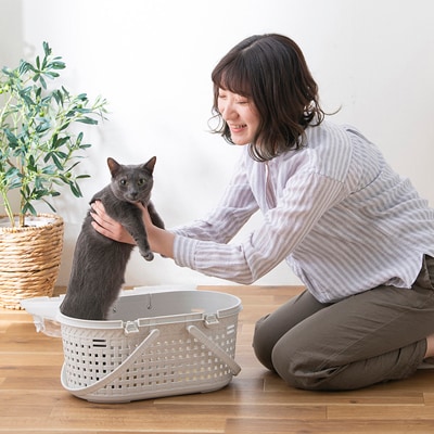 メッシュペットキャリー