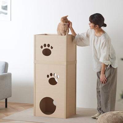 ねこねこタワー