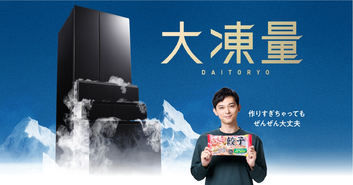 大凍量 大型冷蔵庫