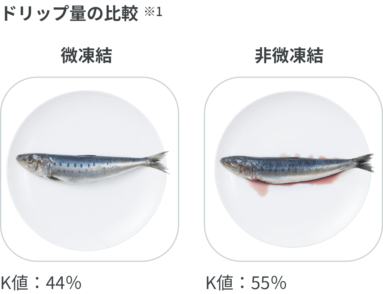 微凍結・通常保存の比較