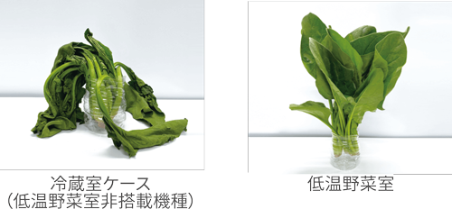 低温野菜室非搭載、低温野菜室搭載の比較