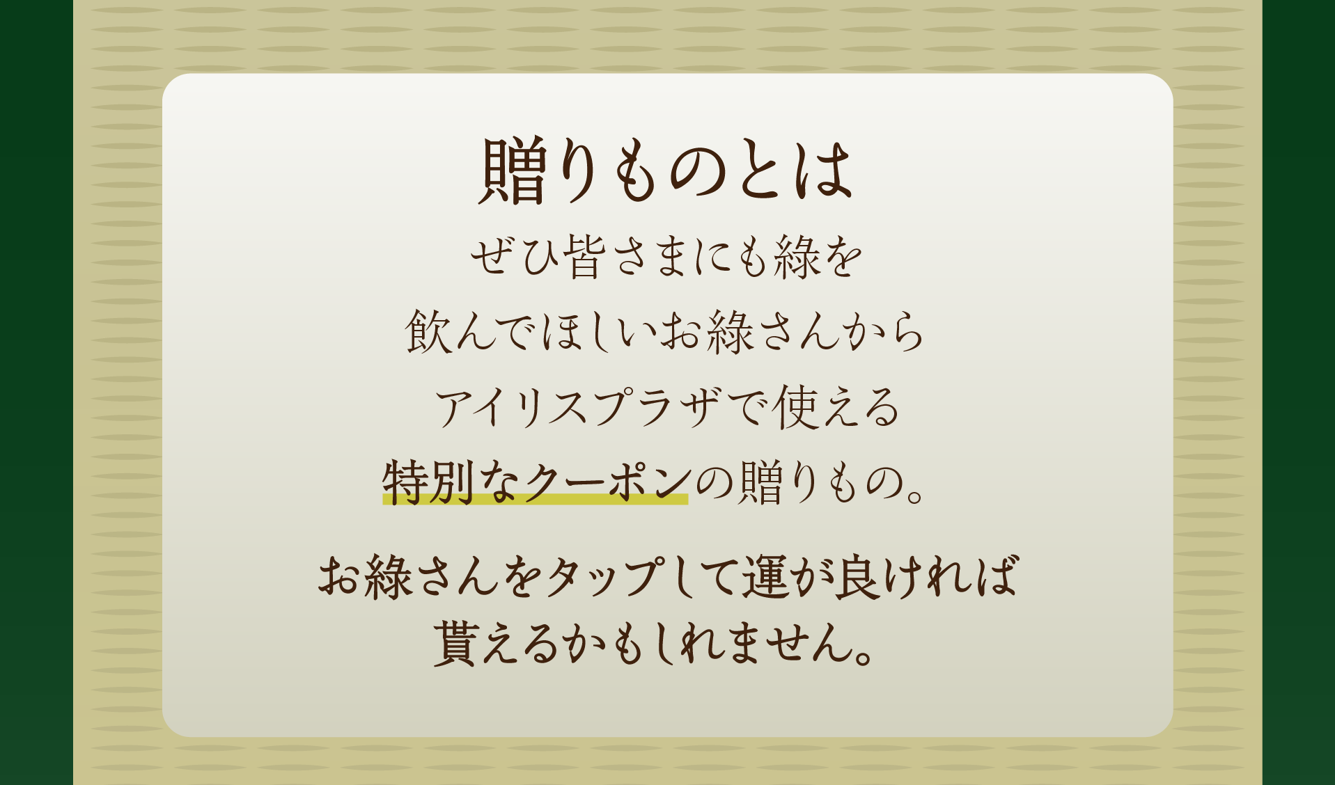 お綠さんからの贈りもの