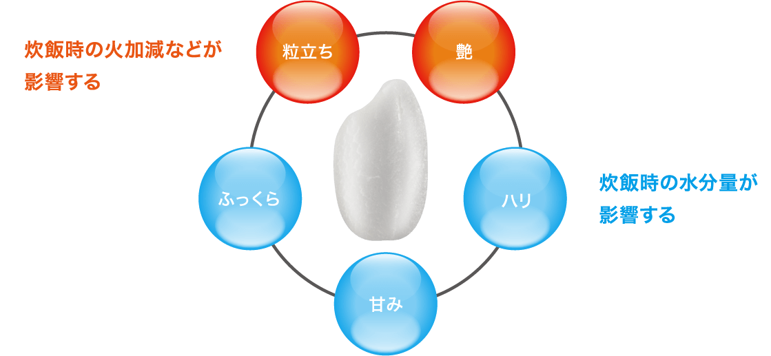 お米をおいしく炊く5つの要素