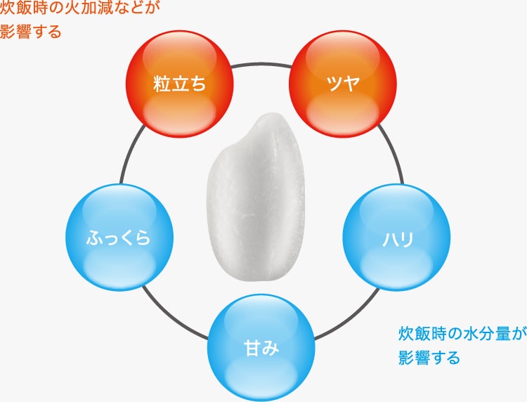 お米をおいしく炊く5つの要素