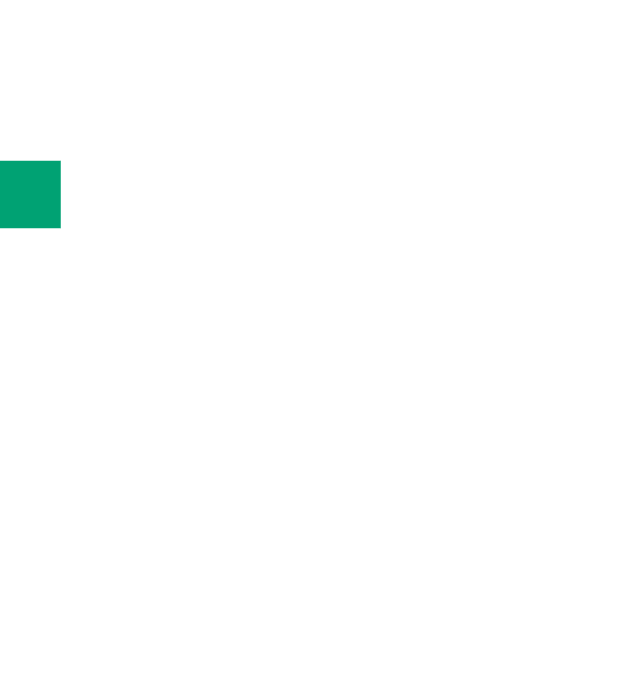 スティッククリーナーi10