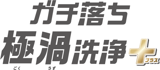 ガチ落ち極渦洗浄プラス