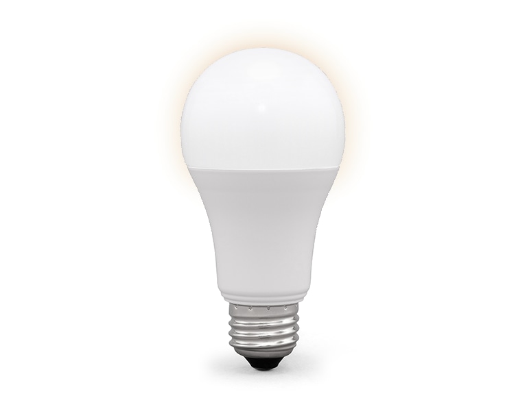 FFS電球用セットアップ